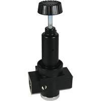 R&eacute;gulateur &agrave; d&eacute;bit &eacute;lev&eacute; R30 Wilkerson, 1" NPT, PSI max. de 300 psi, Standard Auto Electric Service Ltd.