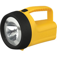 Lanterne flottante Readyflex de EverReady, DEL, 80 Lumens, Piles D Auto Electric Service Ltd.