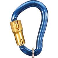 Nano-Lok Carabiner, Aluminum, 3600 lbs Capacity Auto Electric Service Ltd.