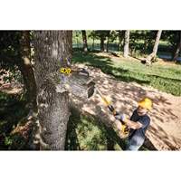 MAX* XR Cordless Polesaw Auto Electric Service Ltd.
