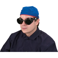 Lunettes &agrave; coque, Lentille 5,0, Anti-&eacute;gratignures, Ventilation Ferm&eacute; Auto Electric Service Ltd.