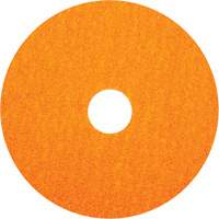 BlazeX F980 Fiber Disc, Ceramic Alumina, 36, 5" Dia x 7/8" Arbor Auto Electric Service Ltd.