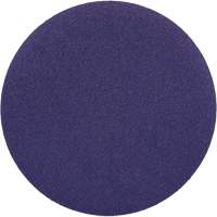 Cubitron II Hookit Cloth Disc 900DZ, 6" Dia., 60+ Grit, Ceramic, J-Weight Auto Electric Service Ltd.