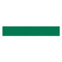Write-On Magnetic Label, Magnetic, 600" L x 1" W Auto Electric Service Ltd.