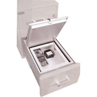 Coffres-forts protecteurs de donn&eacute;es M&eacute;dia Auto Electric Service Ltd.