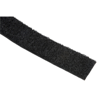 Fastener Strip, Loop, 50 yds x 1", Sew-On, Black Auto Electric Service Ltd.