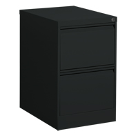Vertical Filing Cabinet, Steel, 2 Drawers, 18-1/7" W x 25" D x 29" H, Black Auto Electric Service Ltd.
