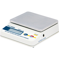 Economy Precision Scales, 2000 g Cap., 1 g Graduations Auto Electric Service Ltd.