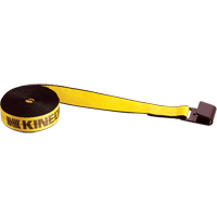 Winch Straps, Flat Hook, 2" W x 30' L, 3335 lbs. (1513 kg) Working Load Limit Auto Electric Service Ltd.