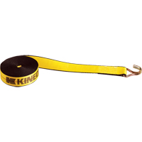 Winch Straps, Wire Hook, 2" W x 30' L, 1670 lbs. (751 kg) Working Load Limit Auto Electric Service Ltd.