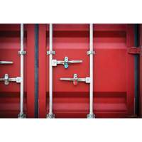 High Security Security Seal, 3-1/4", Metal, Bolt Seal Auto Electric Service Ltd.