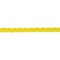 1/4" Braided Yellow Rope, Polypropylene, 1300' Auto Electric Service Ltd.