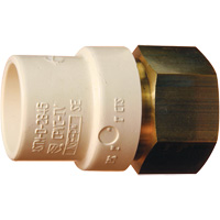 Adaptateur de tuyau filet&eacute;, Noeud x FPT, 1" dia., Laiton/PVC-C Auto Electric Service Ltd.