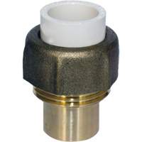 Raccord union, 1/2", PVC-C, Embout femelle x bras&eacute; Auto Electric Service Ltd.