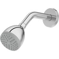 One-Function Showerhead Auto Electric Service Ltd.