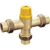 Adjustable Temperature Thermostatic Mixing Valve Auto Electric Service Ltd.