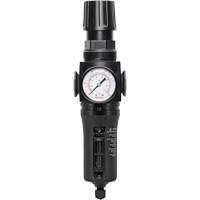 Manual Drain Filter/Regulator with Metal Bowl Modulair 300, 1/4" NPT, 250 PSI, 5.1 fl. oz. Capacity Auto Electric Service Ltd.