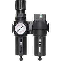 Manual Drain Filter, Regulator & Coalescing Filter with Standard Bowl Modulair 300, 1/4" NPT, 150 PSI, 5.1 fl. oz. Capacity Auto Electric Service Ltd.