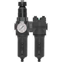 Manual Drain Filter, Regulator & Coalescing Filter with Metal Bowl Modulair 400, 1/4" NPT, 200 psi, 9.1 fl. oz. Capacity Auto Electric Service Ltd.