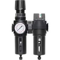 Filter/Regulator & Coalescing Filter Modulair 300 with Standard Bowl & Manual Drain, 3/8" NPTF, 150 PSI, 5.12 fl. oz. Capacity Auto Electric Service Ltd.