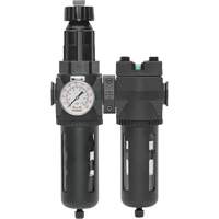 Filter/Regulator & Coalescing Filter Modulair 400 with Standard Bowl & Manual Drain, 3/4" NPTF, 150 PSI, 9.13 fl. oz. Capacity Auto Electric Service Ltd.