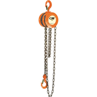 Chain Hoist, 10' Lift, 1000 lbs. (0.5 tons) Capacity, Steel Chain Auto Electric Service Ltd.