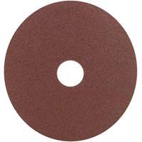 Resin Fibre Sanding Disc, Aluminum Oxide, 60, 4" Dia x 7/8" Arbor Auto Electric Service Ltd.
