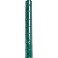 Heavy-Duty Green Epoxy Finish Wire Shelving Post Auto Electric Service Ltd.
