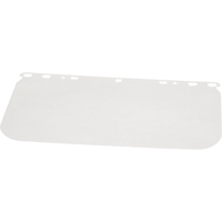 Faceshield Visors