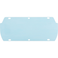 Facetec Polycarbonate Visor, Polycarbonate, Clear Tint Auto Electric Service Ltd.