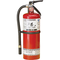 Extincteur d'incendie, ABC, Capacit&eacute; 5 lb Auto Electric Service Ltd.