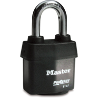 Cadenas Pro-Series Weather Tough, Noir, Cl&eacute;s diff&eacute;rentes, Acier lamin&eacute;, Largeur de 2-3/8" Auto Electric Service Ltd.