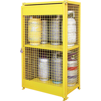 Gas Cylinder Cabinets, 12 Cylinder Capacity, 44" W x 30" D x 74" H, Yellow Auto Electric Service Ltd.