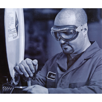 Lunettes de s&eacute;curit&eacute; &agrave; coques Uvex Flex Seal, Lentille 3,0, Antibu&eacute;e, Ventilation Indirecte Auto Electric Service Ltd.
