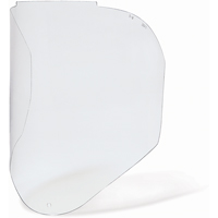 Visi&egrave;res de Rechange Bionic, Polycarbonate, Teinte Transparent Auto Electric Service Ltd.