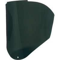 Visi&egrave;res de Rechange Bionic, Polycarbonate, Teinte 5,0 Auto Electric Service Ltd.