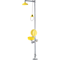 Combination Shower Eye/Face Wash With Cover Auto Electric Service Ltd.