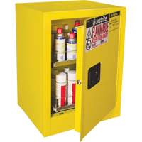 Armoire de s&eacute;curit&eacute; d'&eacute;tabli pour produits inflammables EX Sure-Grip, 24 gal., 1 Porte(s), 21" La x 27" h x 18" p Auto Electric Service Ltd.