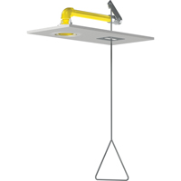 Horizontal Supply Emergency Shower Stations, Ceiling-Mount Auto Electric Service Ltd.