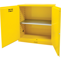 Armoire pour produits inflammables, 30 gal., 2 Porte(s), 43" La x 44" h x 18" p Auto Electric Service Ltd.