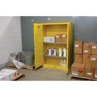 Flammable Storage Cabinet, 45 gal., 2 Door, 43" W x 65" H x 18" D Auto Electric Service Ltd.