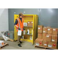 Flammable Storage Cabinet, 45 gal., 2 Door, 43" W x 65" H x 18" D Auto Electric Service Ltd.