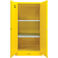 Flammable Storage Cabinet, 60 gal., 2 Door, 34" W x 65" H x 34" D Auto Electric Service Ltd.