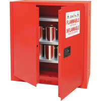 Paint/Ink Cabinet, 45 gal., 3 Shelves Auto Electric Service Ltd.