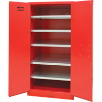 Armoire pour peintures et encres, 96 gal., 5 tablettes Auto Electric Service Ltd.
