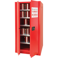 Armoire pour peintures et encres, 96 gal., 5 tablettes Auto Electric Service Ltd.