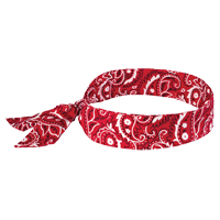 Foulards de refroidissement Chill-Its 6700, Rouge Auto Electric Service Ltd.