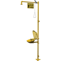 Halo Combination Emergency Shower & Eyewash Station Auto Electric Service Ltd.