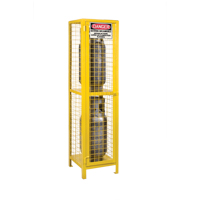 Gas Cylinder Cabinets, 2 Cylinder Capacity, 17" W x 17" D x 69" H, Yellow Auto Electric Service Ltd.