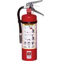 Extincteur d'incendie, ABC, Capacit&eacute; 5 lb Auto Electric Service Ltd.